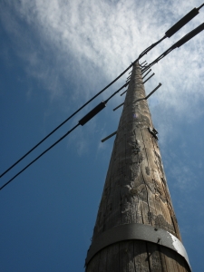 Telephone pole1.jpg